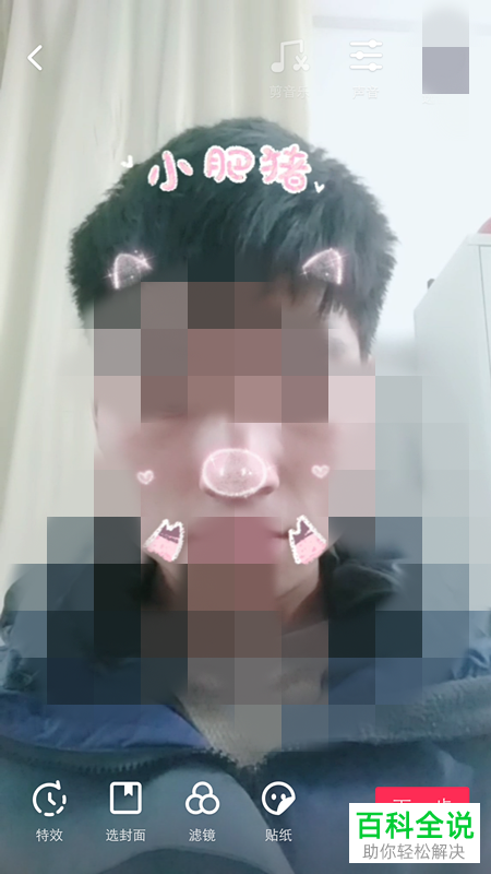 抖音猪年测试中的小肥猪、暴富猪特效怎么使用