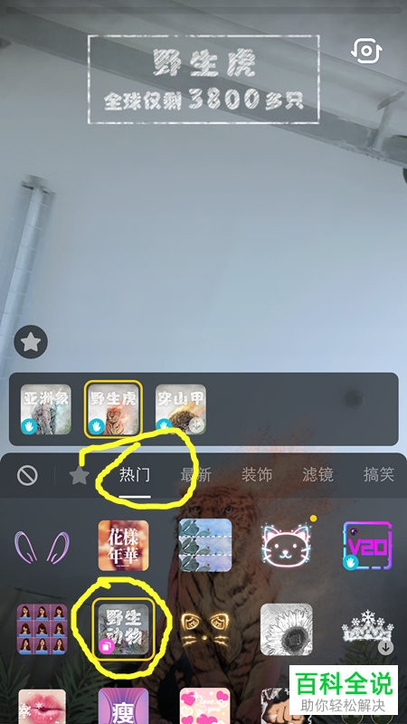 抖音中怎么拍摄制作带有野生亚洲象、野生动物特效的视频