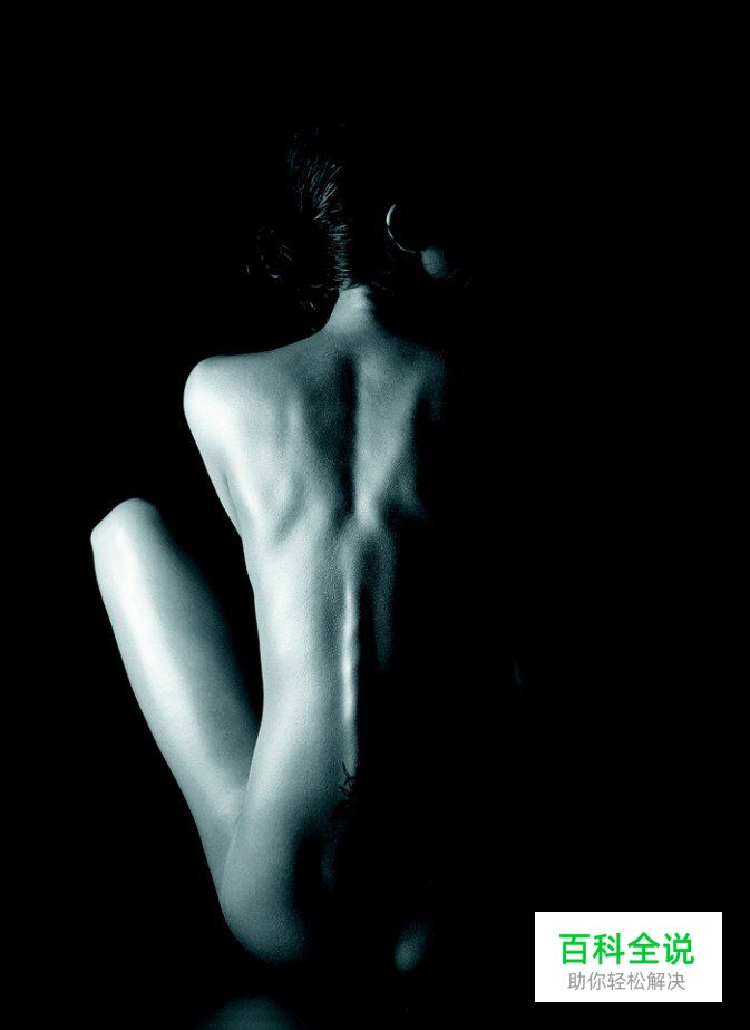 带着暗香的曲线