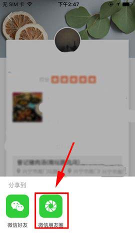 大众点评app评论怎么生成点评画报?