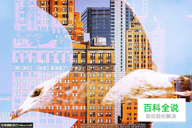 多重曝光进阶教程:12种后期重曝叠加分析