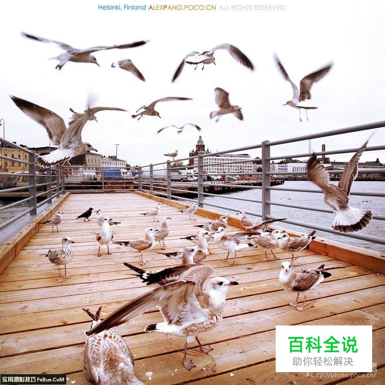 多重曝光进阶教程:12种后期重曝叠加分析