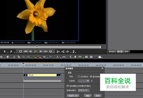 edius怎么让视频倒放
