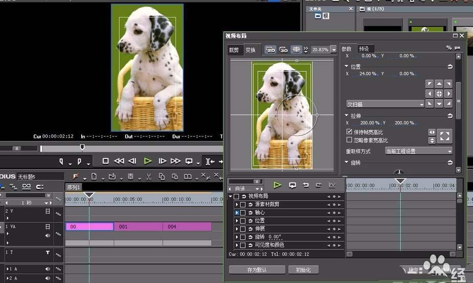 Edius怎么制作竖向视频? Edius竖向视频的制作方法