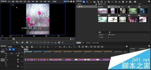 edius 8图片素材大小怎么设置? 把素材图片处理成相同大小的方法