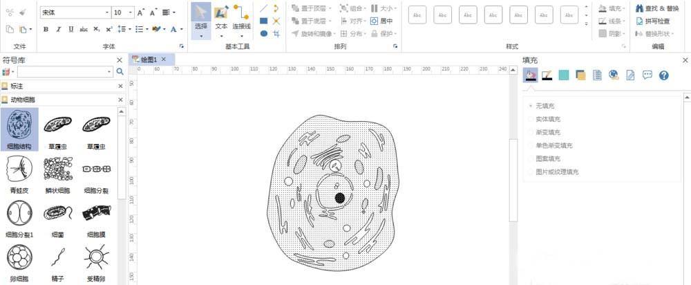 Edraw Max怎么制作细胞分裂过程图?