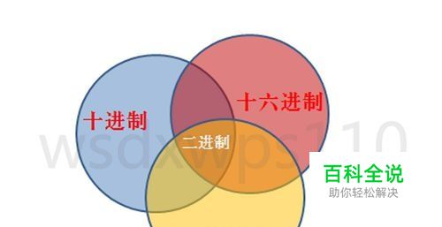 二进制、八进制、十进制、十六进制之间的转换