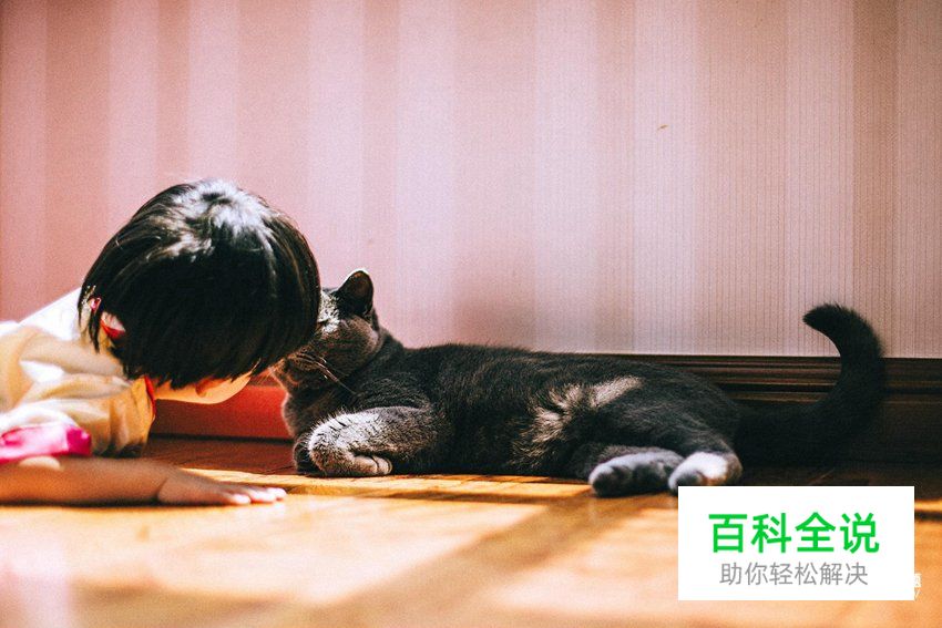 儿童摄影的心得体会与技巧分享