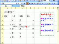 Excel2003入门动画教程专辑(共68篇)