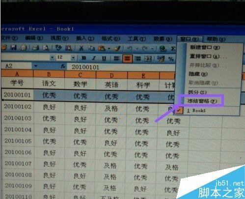 Excel表格如何冻结窗口?冻结窗口的类型和方法