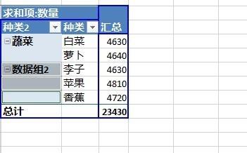Excel2013数据透视表字段分组图文步骤