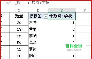 EXCEL中数据透视表的计数项如何变成求和项