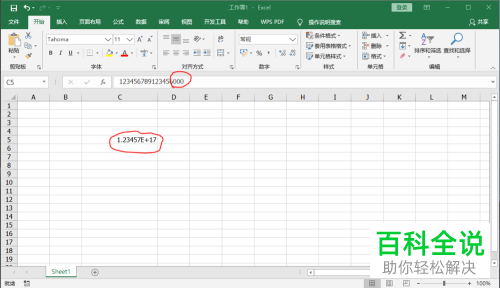 excel表格怎么输入才能显示完整的身份证号码