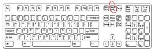 EXCEL表格的自定义状态栏滚动选项怎么关闭