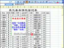 Excel2003入门动画教程专辑(共68篇)