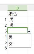 excel怎么制作下拉菜单列表?
