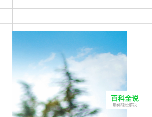 Excel单元格中如何插入图片？