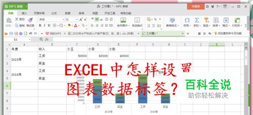 EXCEL中怎样设置图表数据标签？