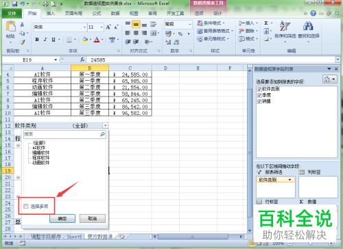 excel数据透视表中报表页字段怎么进行筛选