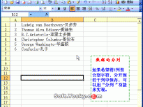 Excel2003入门动画教程专辑(共68篇)