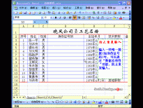 Excel2003入门动画教程专辑(共68篇)