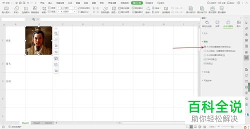 Excel表格插入图片后如何设置自适应