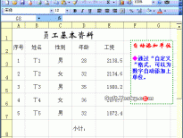 Excel2003入门动画教程专辑(共68篇)