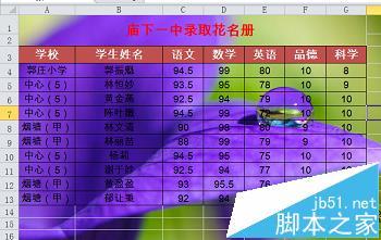 Excel怎么添加可以打印的背景图?