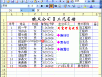 Excel2003入门动画教程专辑(共68篇)