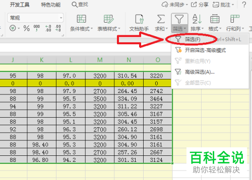 Excel表格中的筛选功能怎么使用