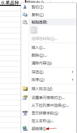 excel表格中怎么建立超链接? excel超链接的添加方法