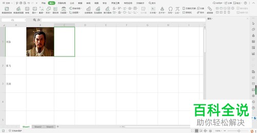 Excel表格插入图片后如何设置自适应