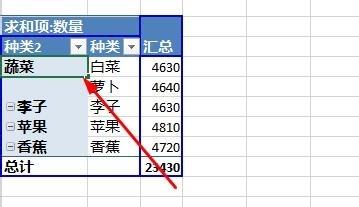 Excel2013数据透视表字段分组图文步骤