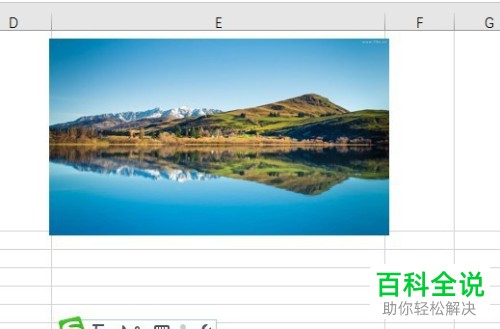 excel表格中插入的图片如何设置为随单元格大小自动调整