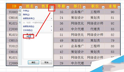 excel筛选功能怎么使用