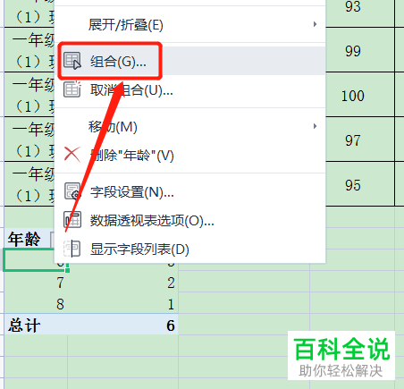 Excel怎么将数据透视表内容分组显示