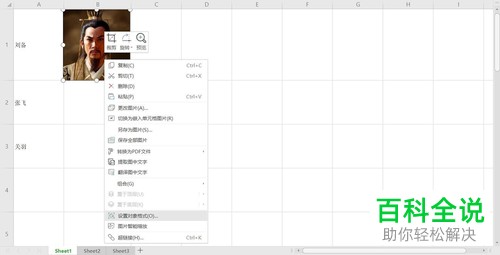 Excel表格插入图片后如何设置自适应