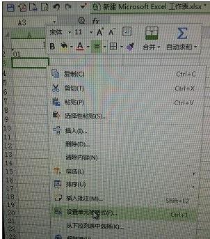 excel中如何输入01