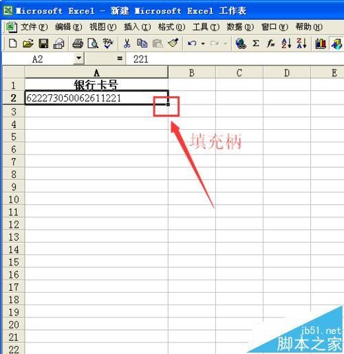 Excel表格中怎么批量递增填充银行卡号?
