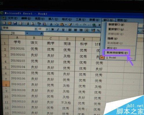 Excel表格如何冻结窗口?冻结窗口的类型和方法