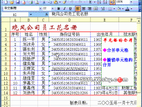 Excel2003入门动画教程专辑(共68篇)