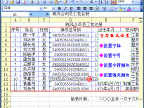 Excel2003入门动画教程专辑(共68篇)