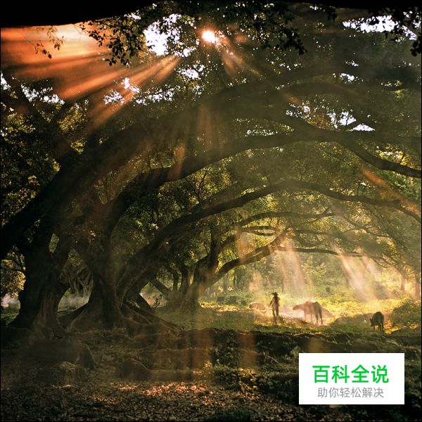 风光摄影需要关注的五个方面