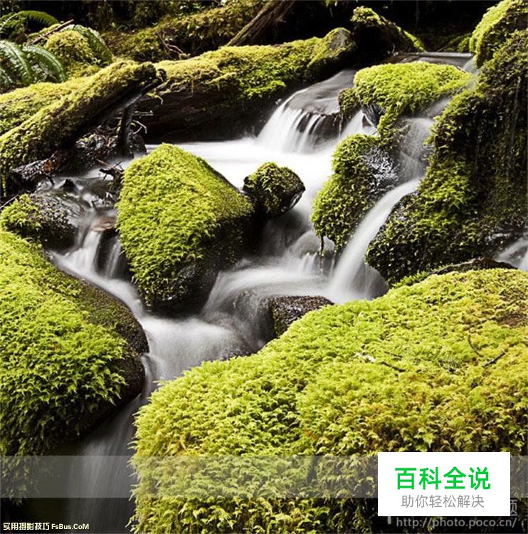 风光摄影的构图技巧