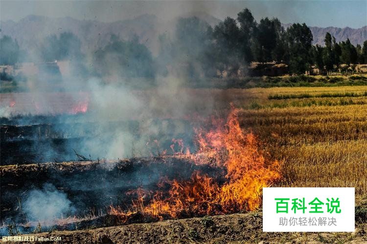 风光摄影的构图技巧