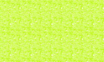 Fireworks怎样绘制精美闪图动画