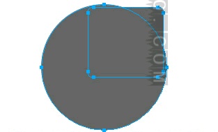 Fireworks如何制作一个按钮