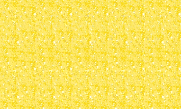 Fireworks怎样绘制精美闪图动画