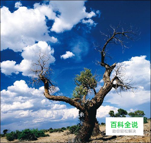 风景摄影的拍摄秘诀