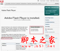 Flash Player软件的详细使用方法(图文教程)